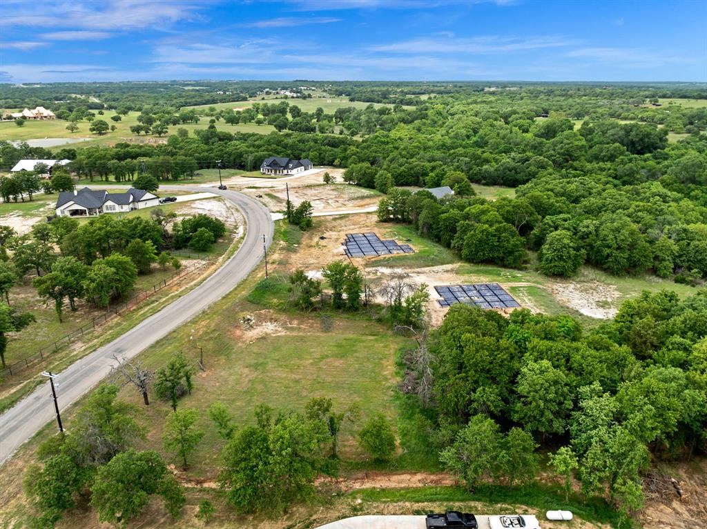 285 Zebrastone Way Poolville, TX 76487 - Photo 4 of 8