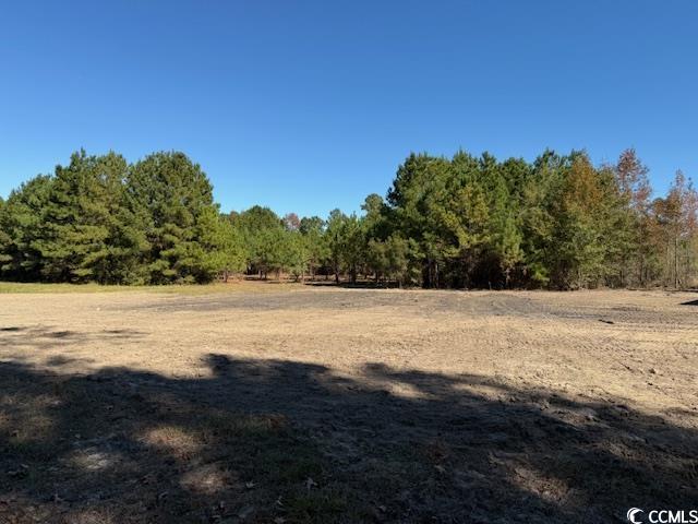 9.76-acs Rabon Road Aynor, SC 29511 - Photo 14 of 20