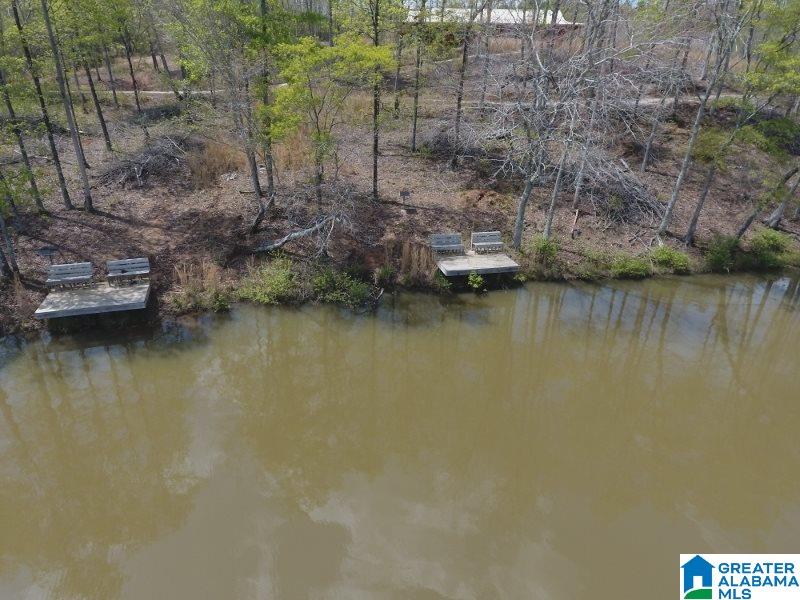 1853 Center Hill Road Lineville, AL 36266 - Photo 17 of 43 Gallery Image 17