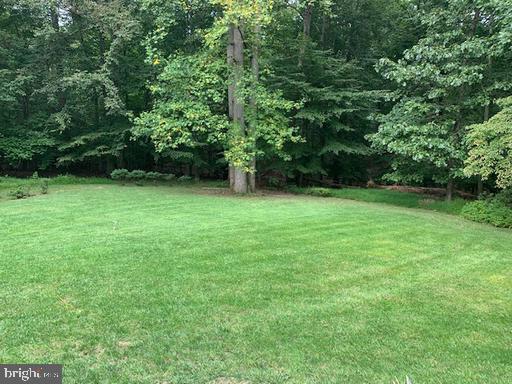 215 Chestnut Road Bridgeton, NJ 08302 - Photo 4 of 51 Back yard