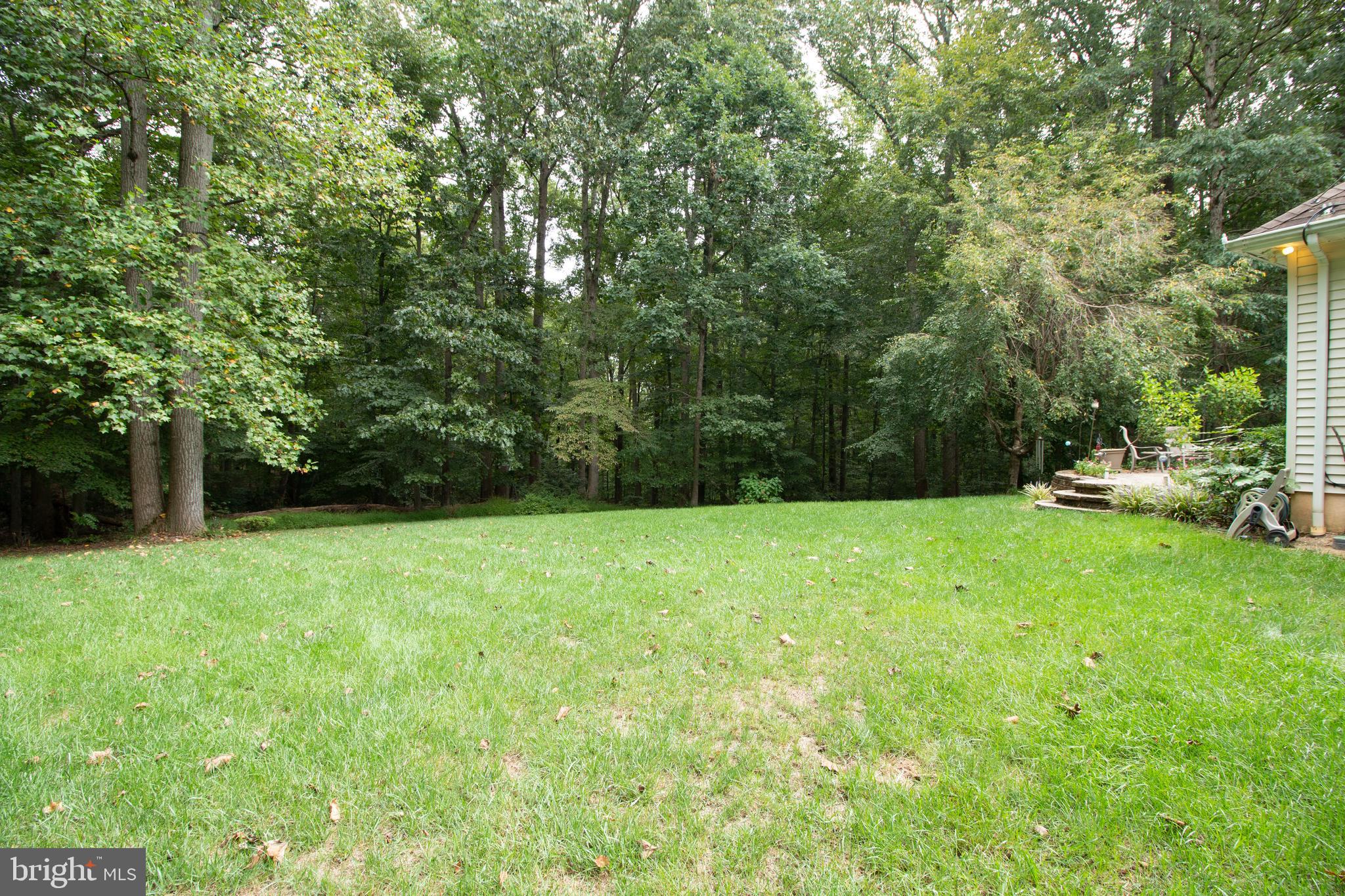 215 Chestnut Road Bridgeton, NJ 08302 - Photo 6 of 51 yard