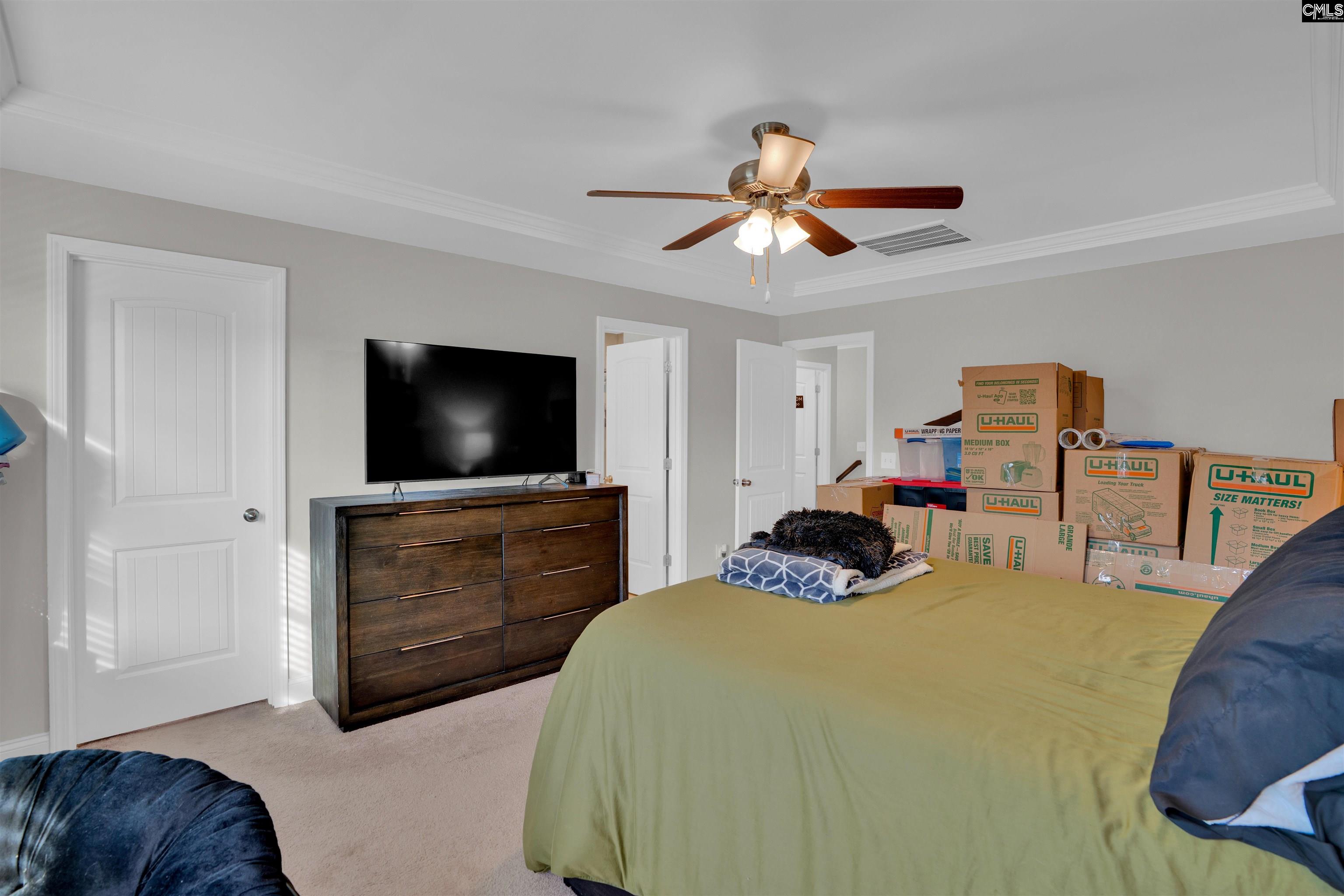 432 Thayer Street Chapin, SC 29036 - Photo 34 of 68