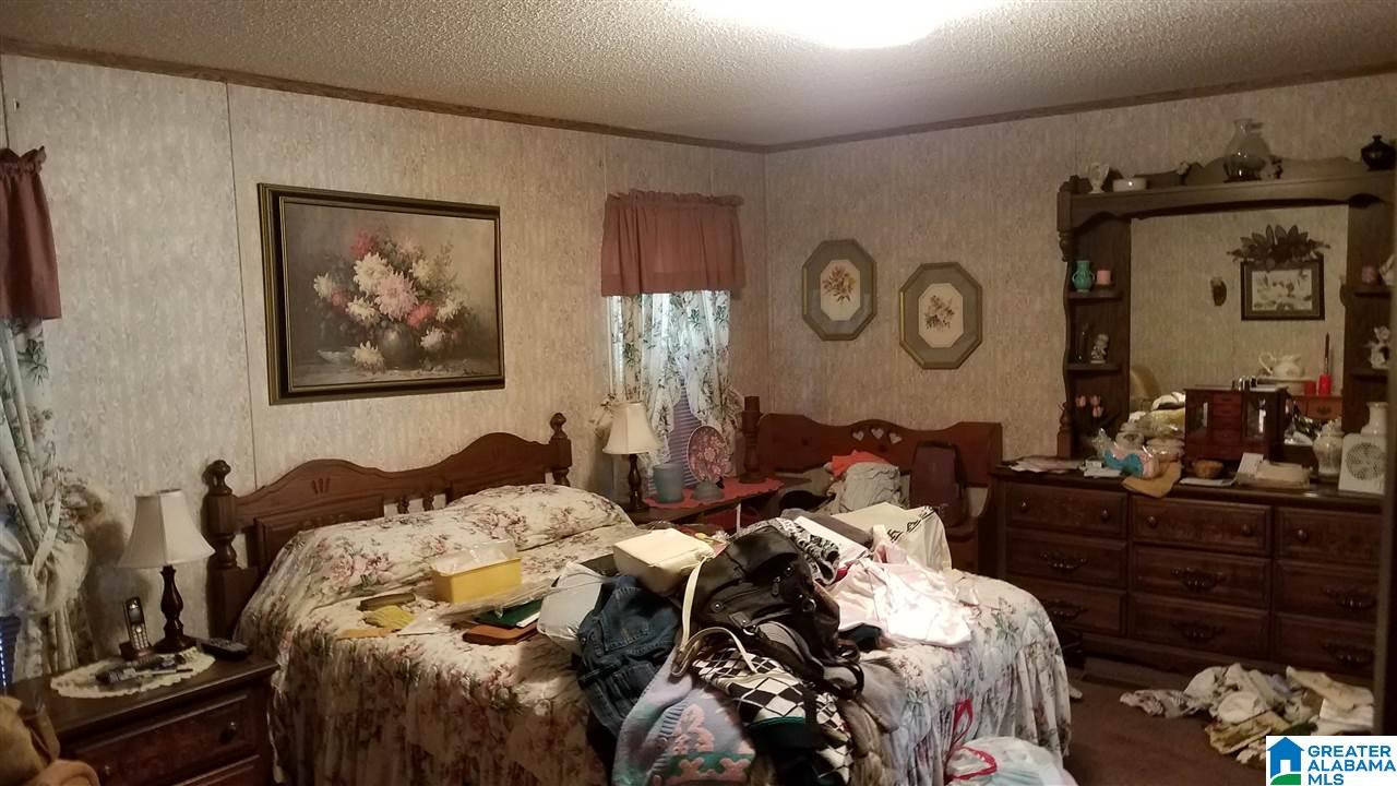 127 Young Road Remlap, AL 35133 - Photo 9 of 25