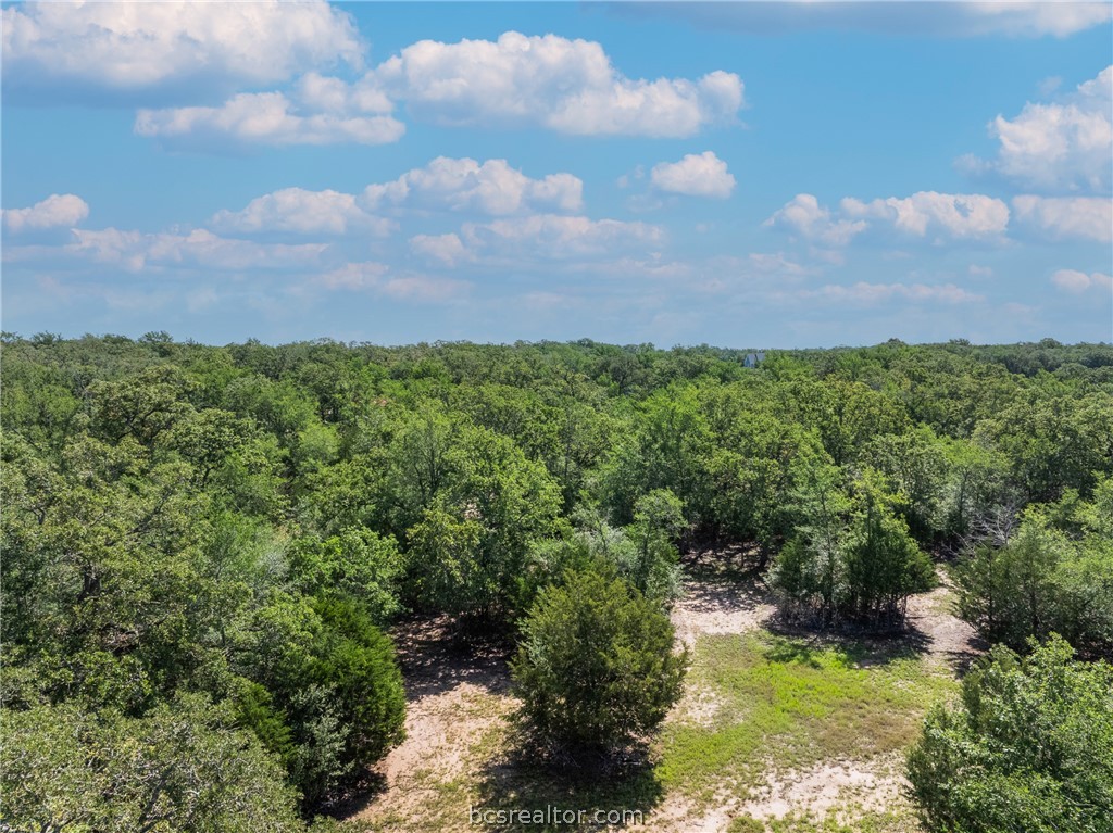 7132 Serenity Ranch Road Somerville, TX 77879 - Photo 23 of 27