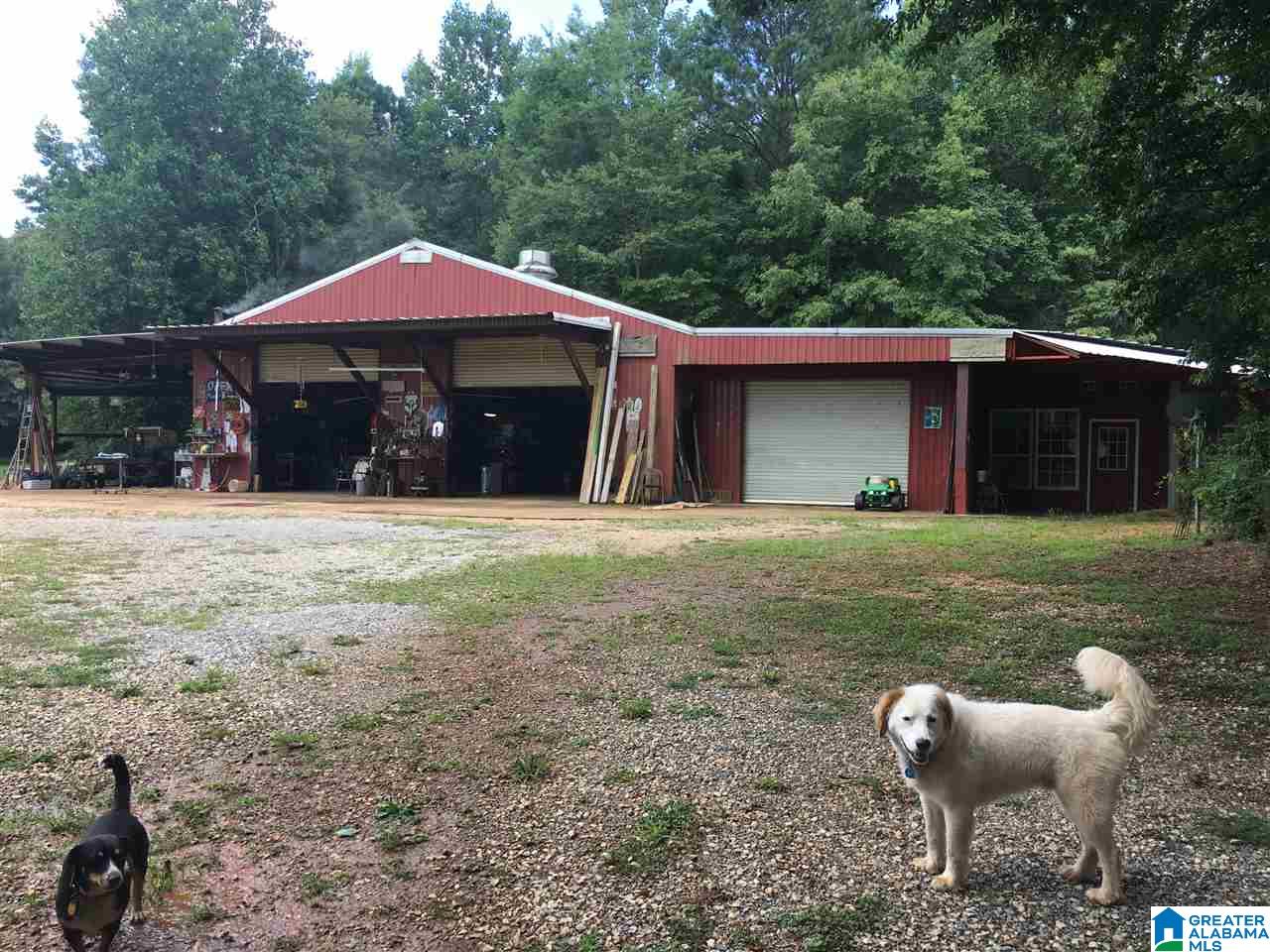 9276 County Road 2 Waverly, AL 36879 - Photo 23 of 38