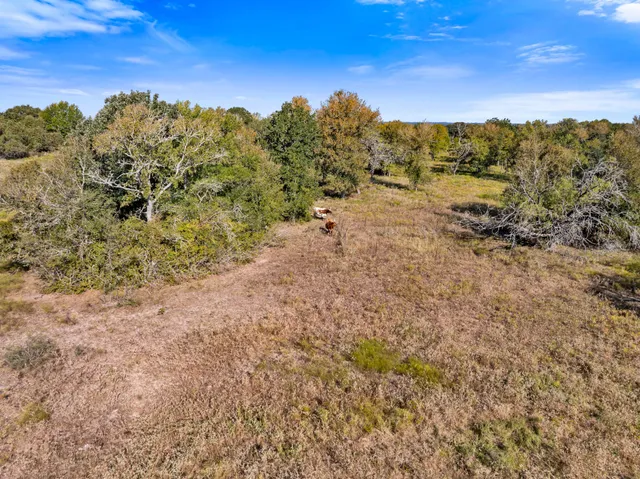$665,000 | 185 Anderson Tx 77830, Anderson, TX 77830