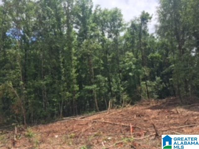 325 Springhill Road, Unit 1 Talladega, AL 35160 - Photo 26 of 31