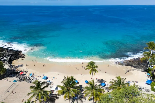 a view of a flower arrangement in backyard