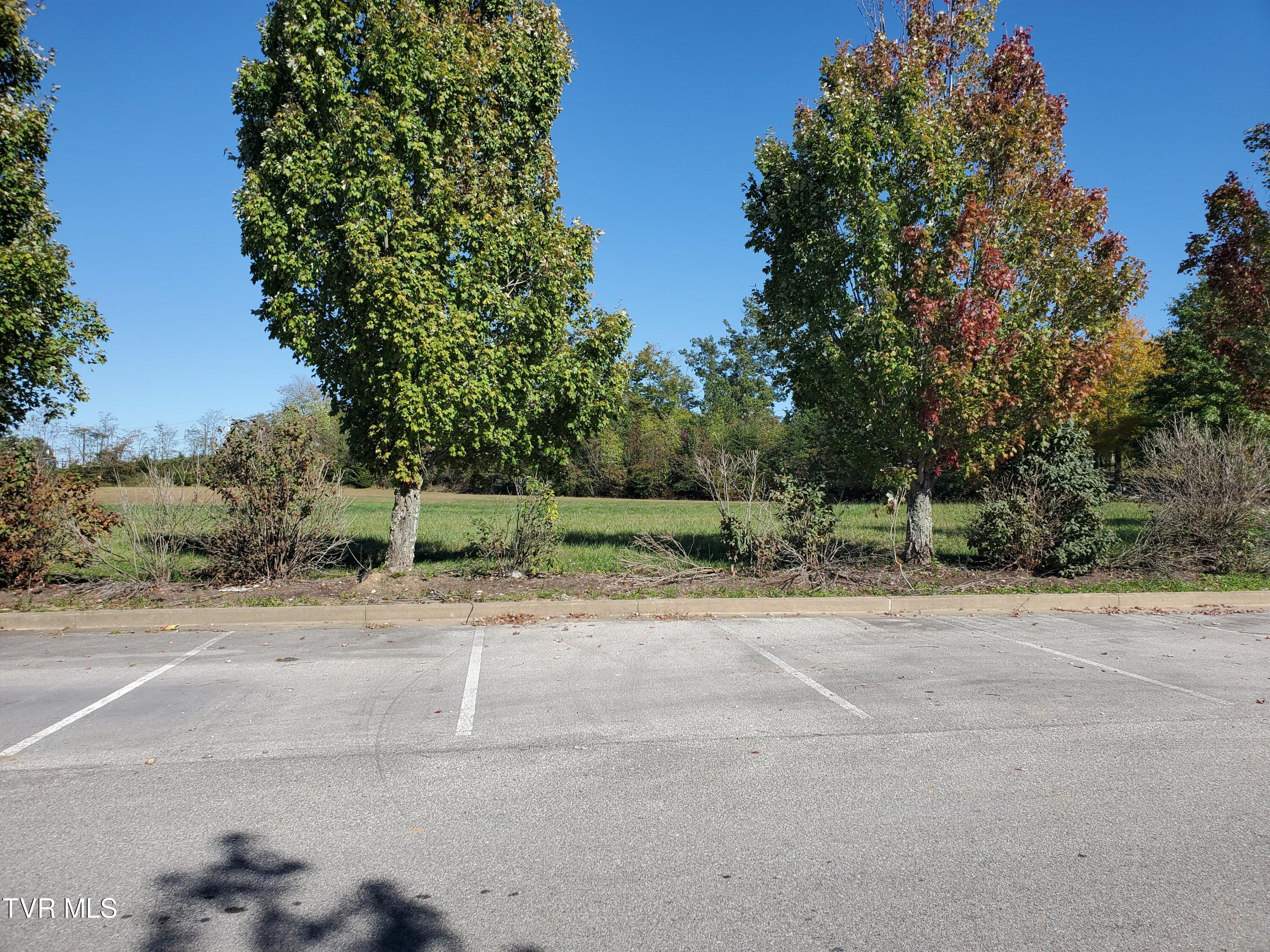 3 B Headtown Road Jonesborough, TN 37659 - Photo 2 of 19 3B