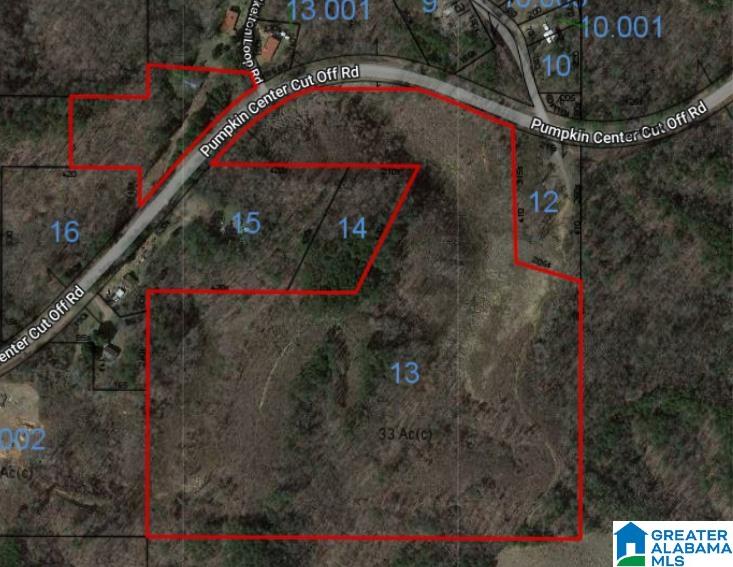 1447 Pumpkin Center Cut Off Road, Unit 1 PARCEL Quinton, AL 35130 - Photo 3 of 3