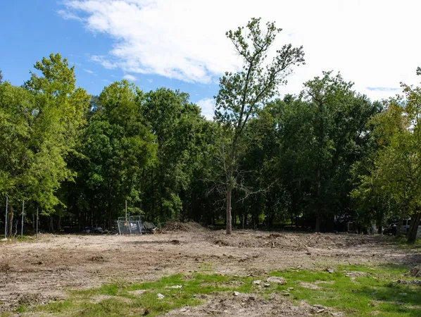 a view of a yard with plants and trees