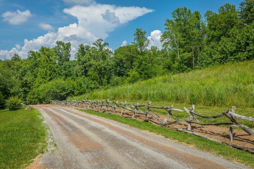 0 Long Branch Road, Unit LOT 10 Rising Fawn, GA 30738 - Photo 8 of 11 20241216220319839461000000-o