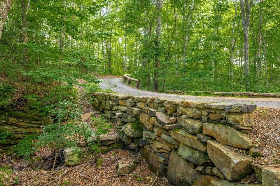 0 Long Branch Road, Unit LOT 10 Rising Fawn, GA 30738 - Photo 10 of 11 20241216220321233815000000-o