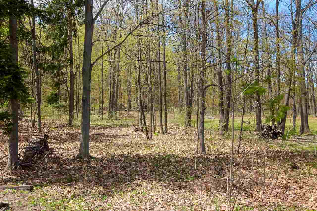 12440 Bluff Road Traverse City, MI 49686 - Photo 29 of 29 1861286-28.JPG