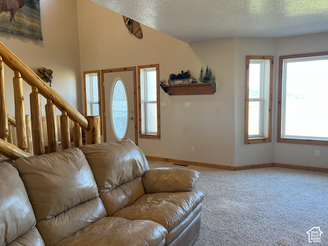 750 South Big Road Soda Springs, ID 83276 - Photo 15 of 40 Entryway with sidelight windows and an oval glass-paneled door