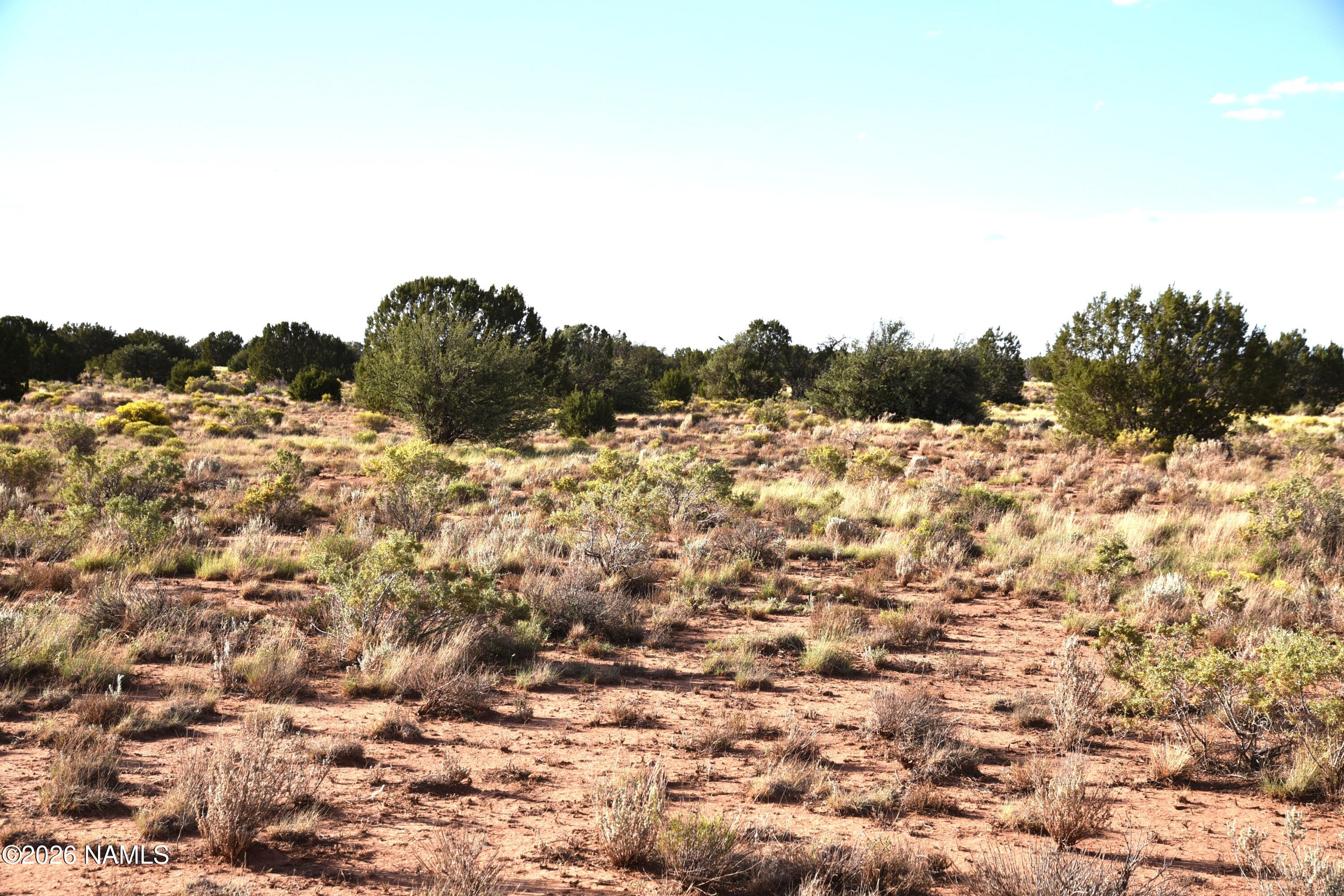 0 Santa Clara Road Southwest Williams, AZ 86046 - Photo 5 of 7 DSC_5528