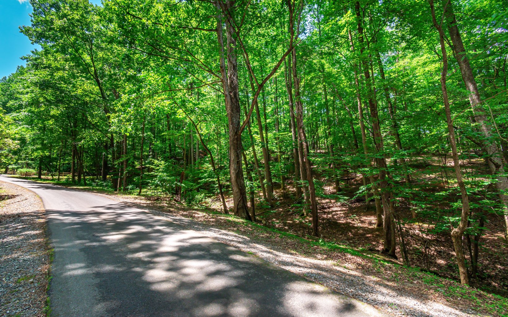 49 Sleepy Hollow Road Ellijay, GA 30536 - Photo 18 of 42 a view of backyard with green space