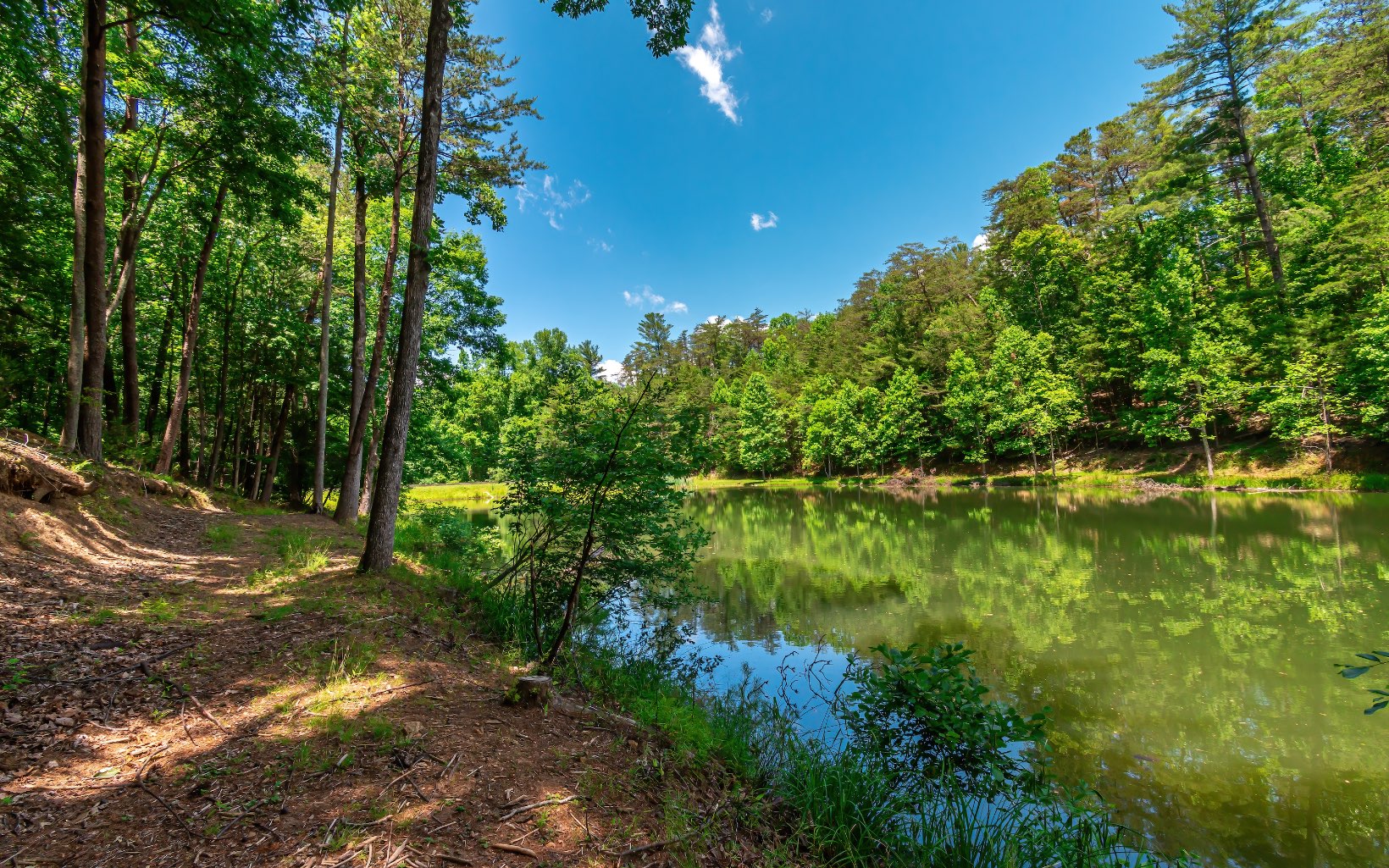 49 Sleepy Hollow Road Ellijay, GA 30536 - Photo 29 of 42 a view of lake with green space