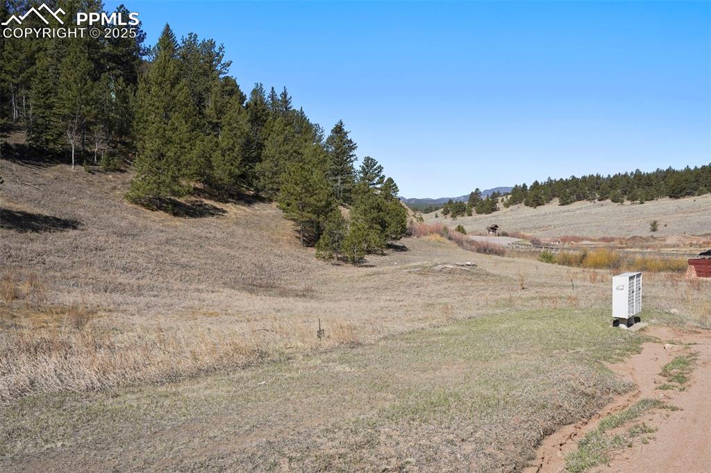 711 Crystal Peak Road Florissant, CO 80816 - Photo 11 of 12 a view of a dry yard with wooden fence