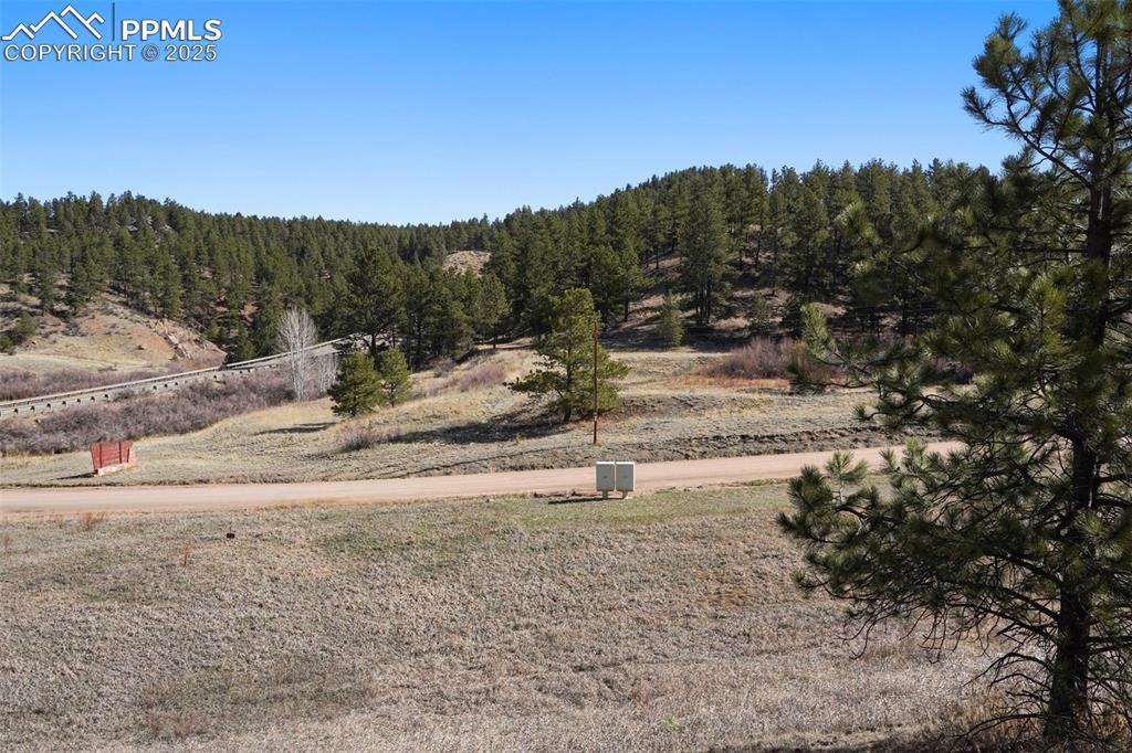 711 Crystal Peak Road Florissant, CO 80816 - Photo 12 of 12 a view of a yard with mountain view
