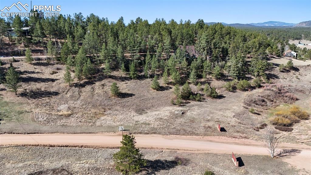 711 Crystal Peak Road Florissant, CO 80816 - Photo 3 of 12 a view of a yard with a tree