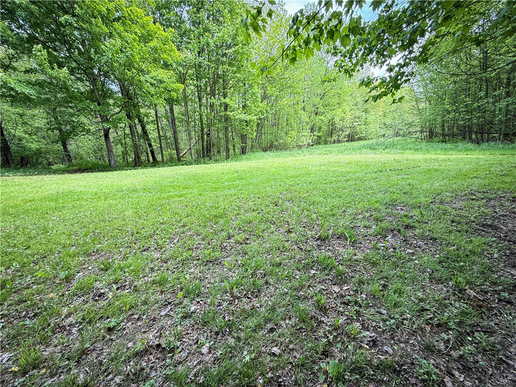 Gifford Road Hannibal, NY 13074 - Photo 21 of 50
