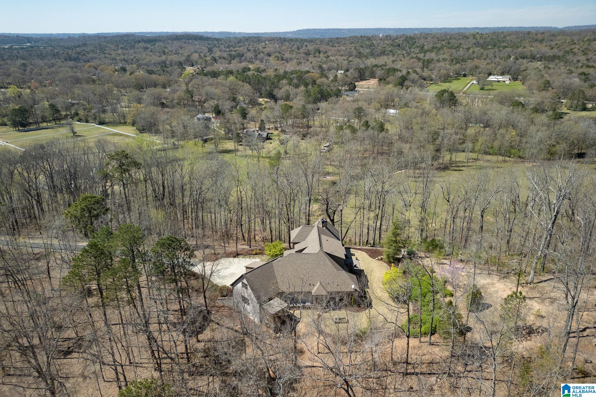 1045 Stagg Run Trail Pelham, AL 35124 - Photo 67 of 68