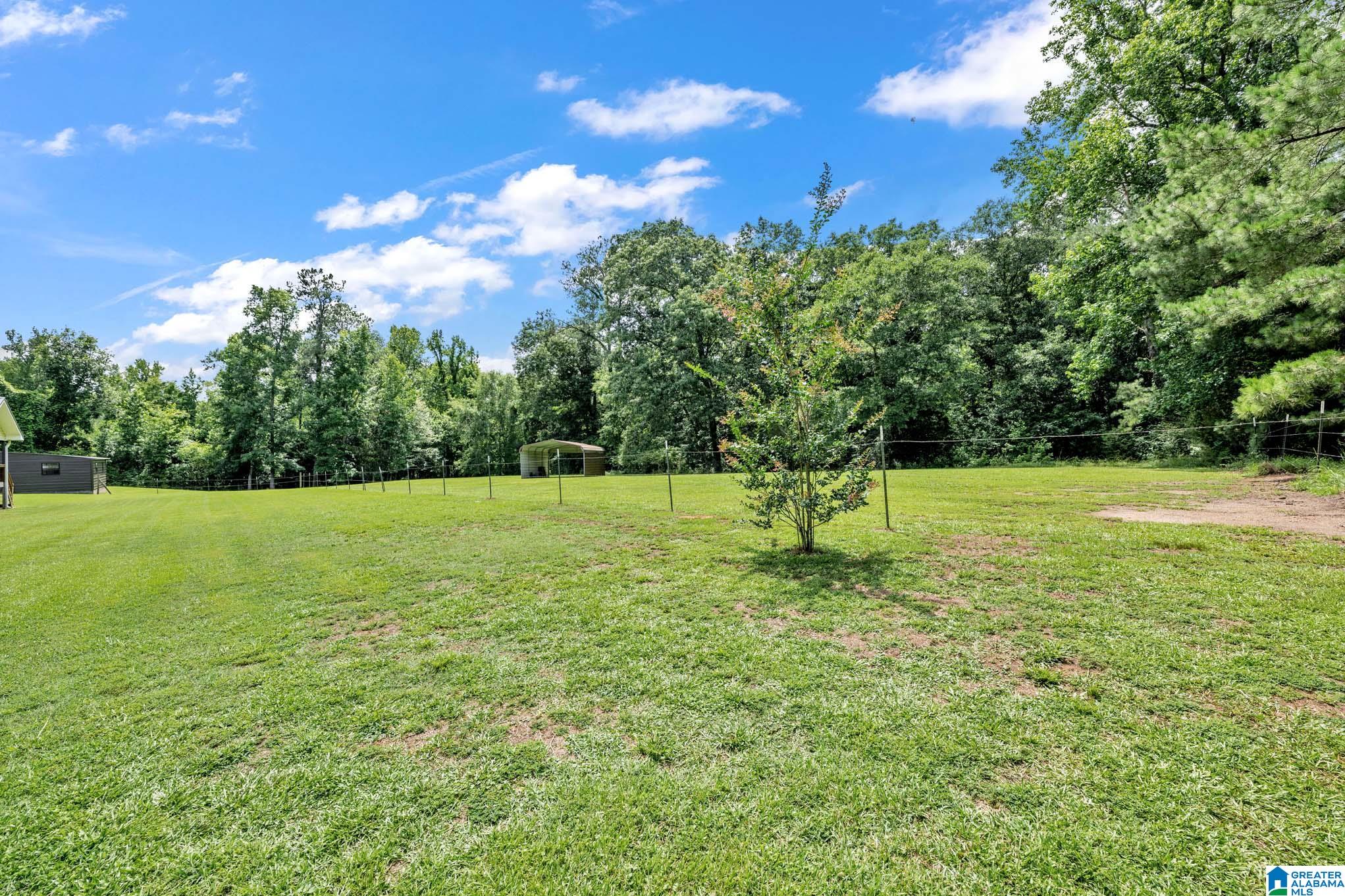 8755 Boiling Springs Road Ohatchee, AL 36271 - Photo 25 of 55 Gallery Image 25