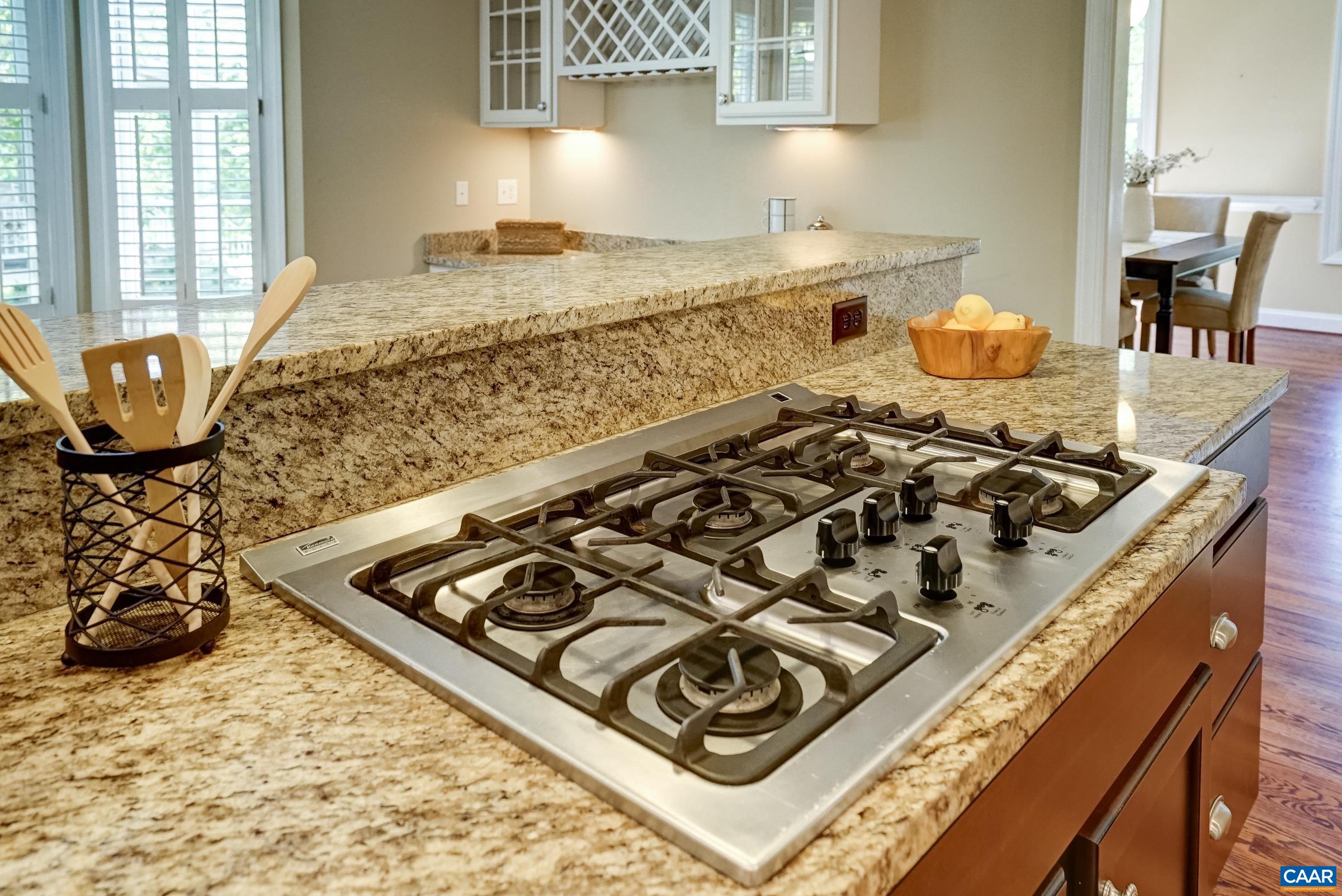 5223 Brook View Road Crozet, VA 22932 - Photo 26 of 63 Gas range