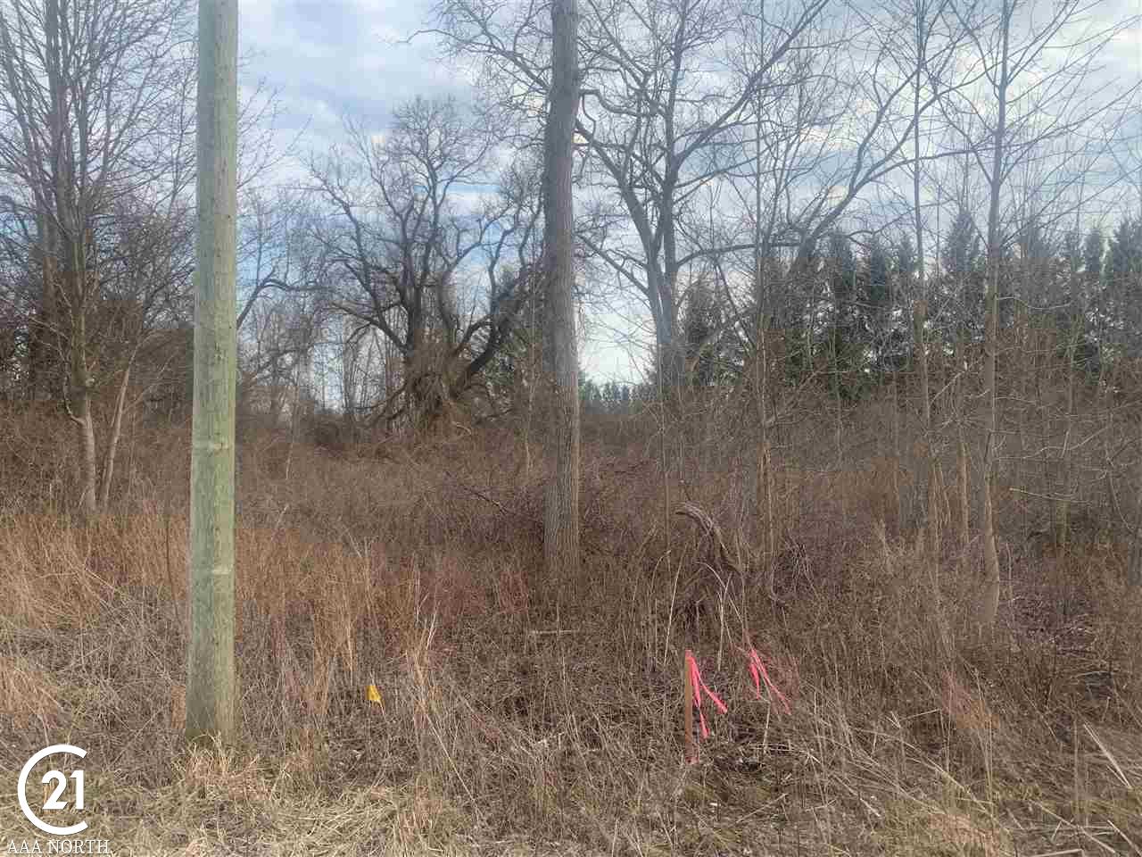 79951 Coon Creek Road Armada, MI 48005 - Photo 5 of 27 Gallery Image 5