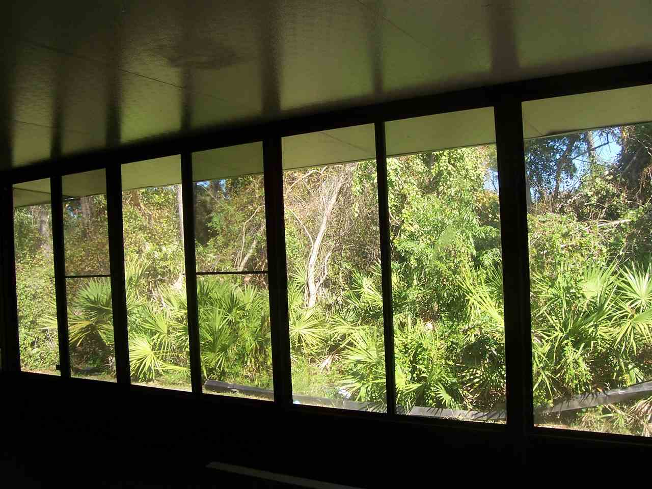 145 Cornell Road St. Augustine, FL 32086 - Photo 10 of 10 a view of window