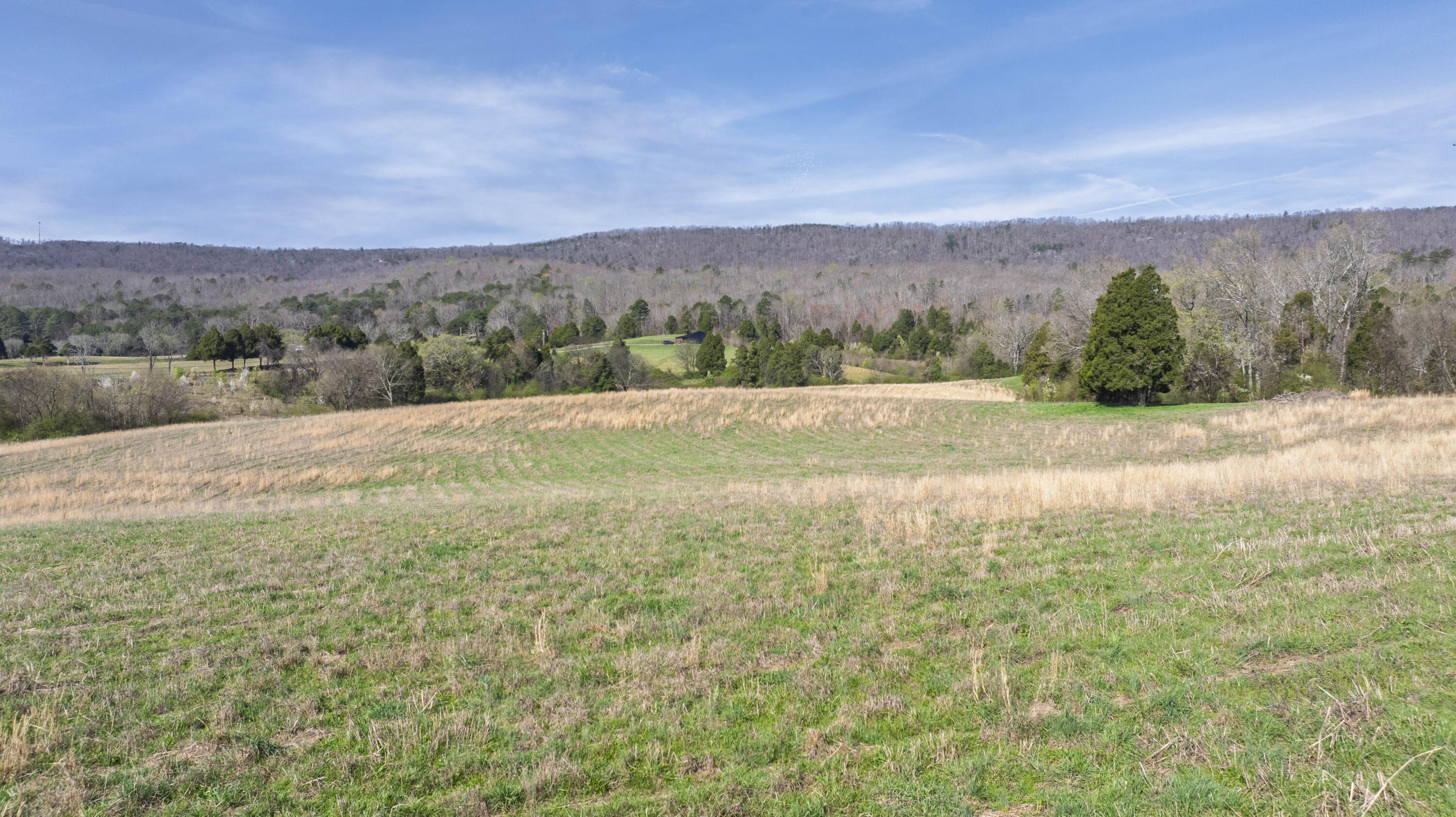 4637 Ideal Valley Road Spring City, TN 37381 - Photo 3 of 67 06