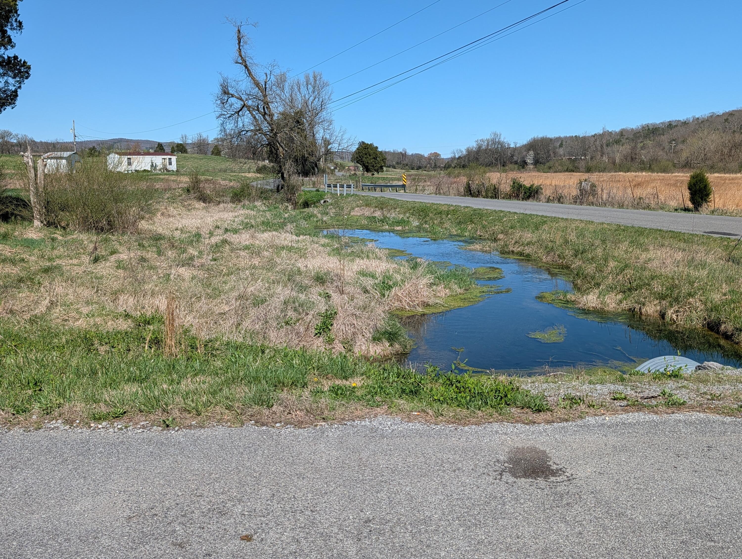 4637 Ideal Valley Road Spring City, TN 37381 - Photo 45 of 67 PXL_20260312_184531771
