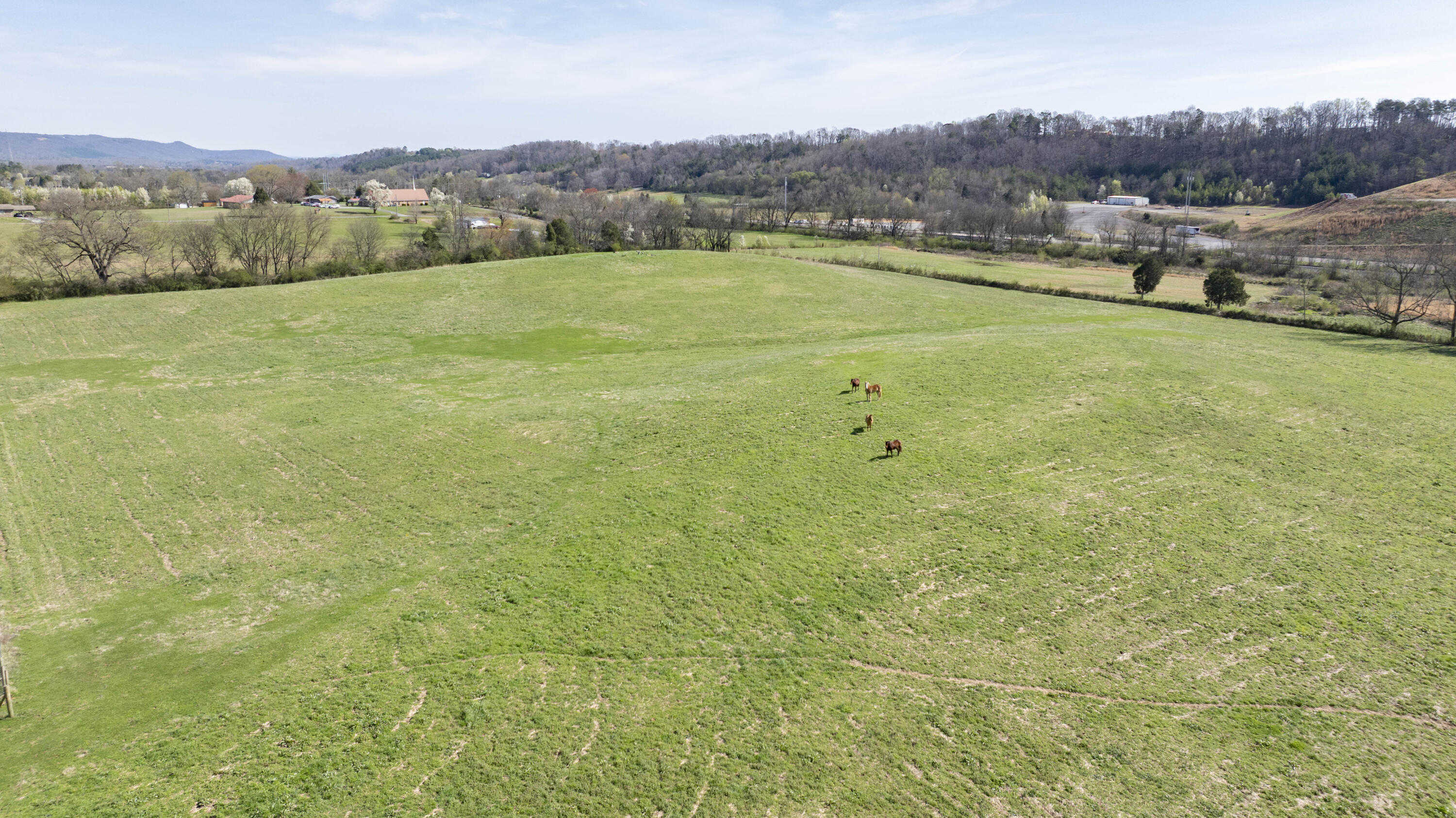 4637 Ideal Valley Road Spring City, TN 37381 - Photo 49 of 67 16