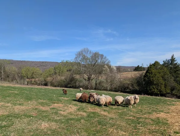 $995,000 | 4637 Ideal Valley Road, Spring City, TN 37381