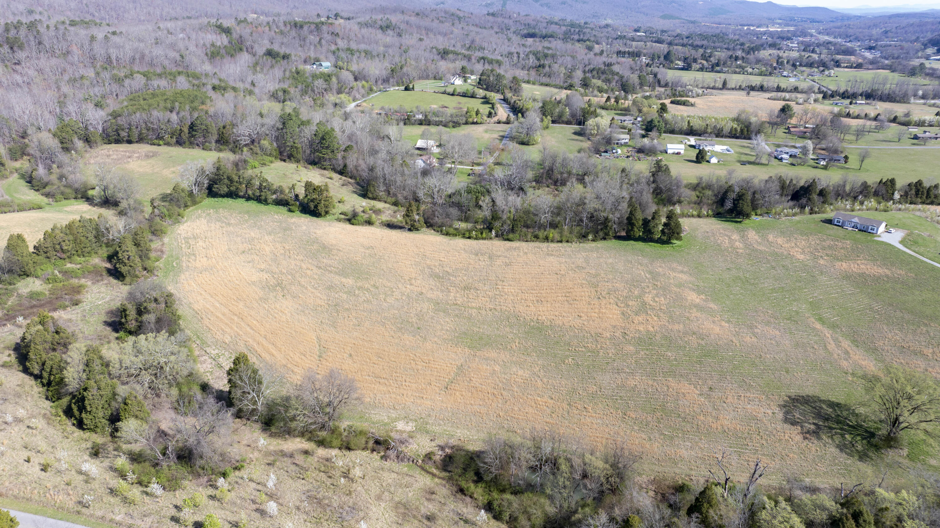 4637 Ideal Valley Road Spring City, TN 37381 - Photo 54 of 67 09