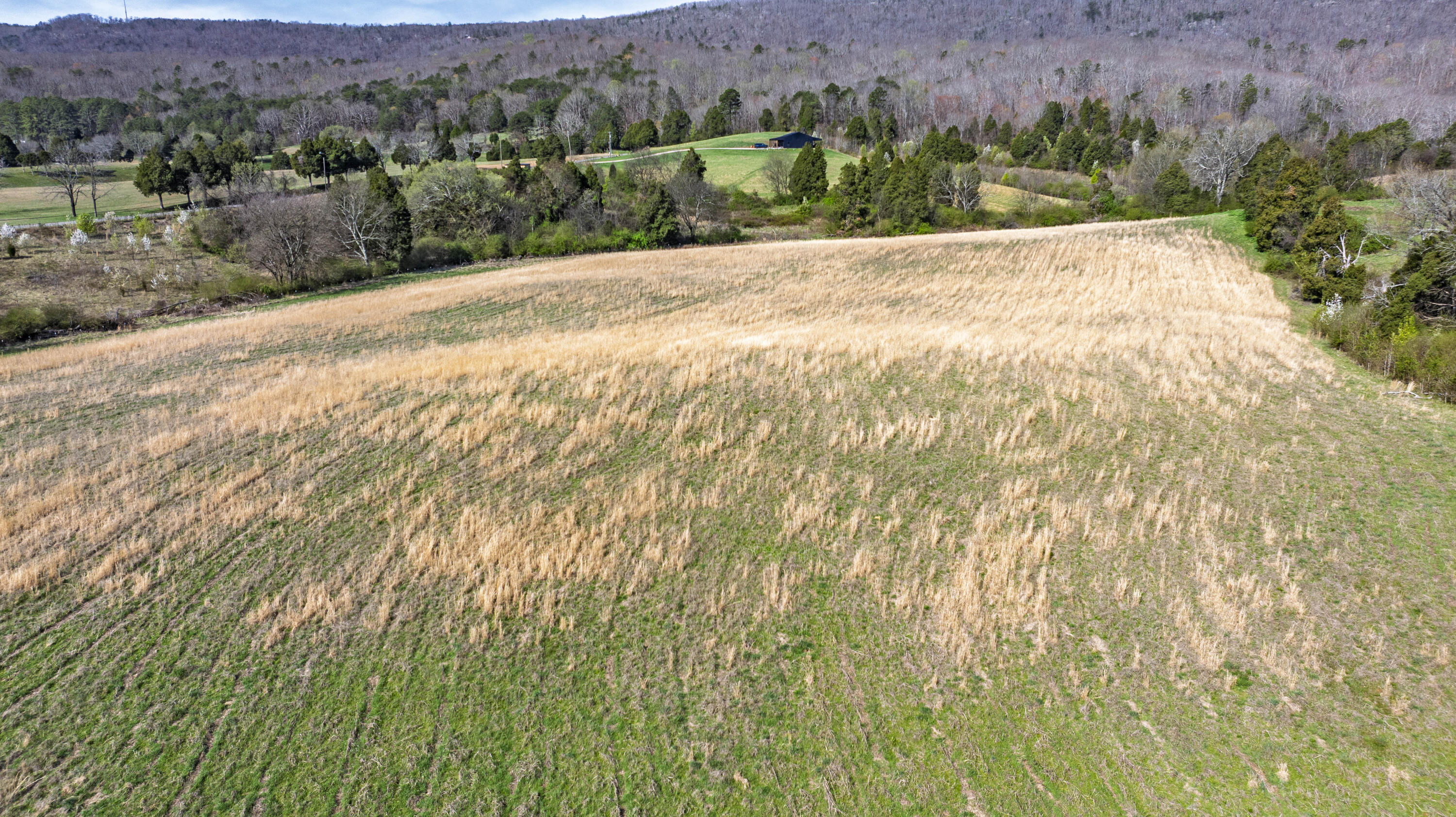 4637 Ideal Valley Road Spring City, TN 37381 - Photo 57 of 67 08