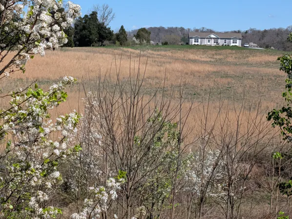 $995,000 | 4637 Ideal Valley Road, Spring City, TN 37381