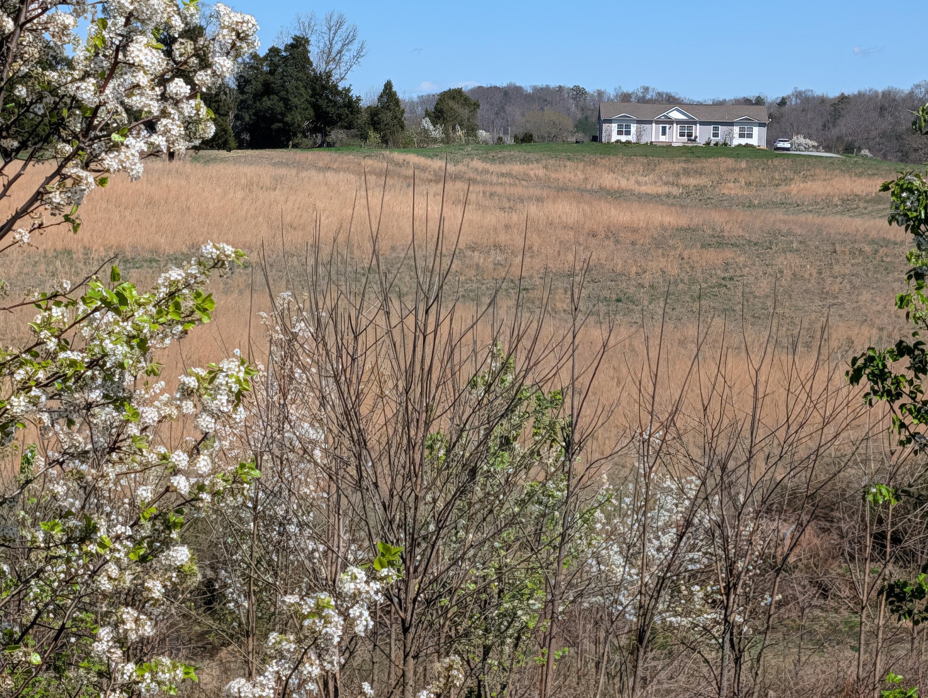 4637 Ideal Valley Road Spring City, TN 37381 - Photo 59 of 67 PXL_20260312_183949738