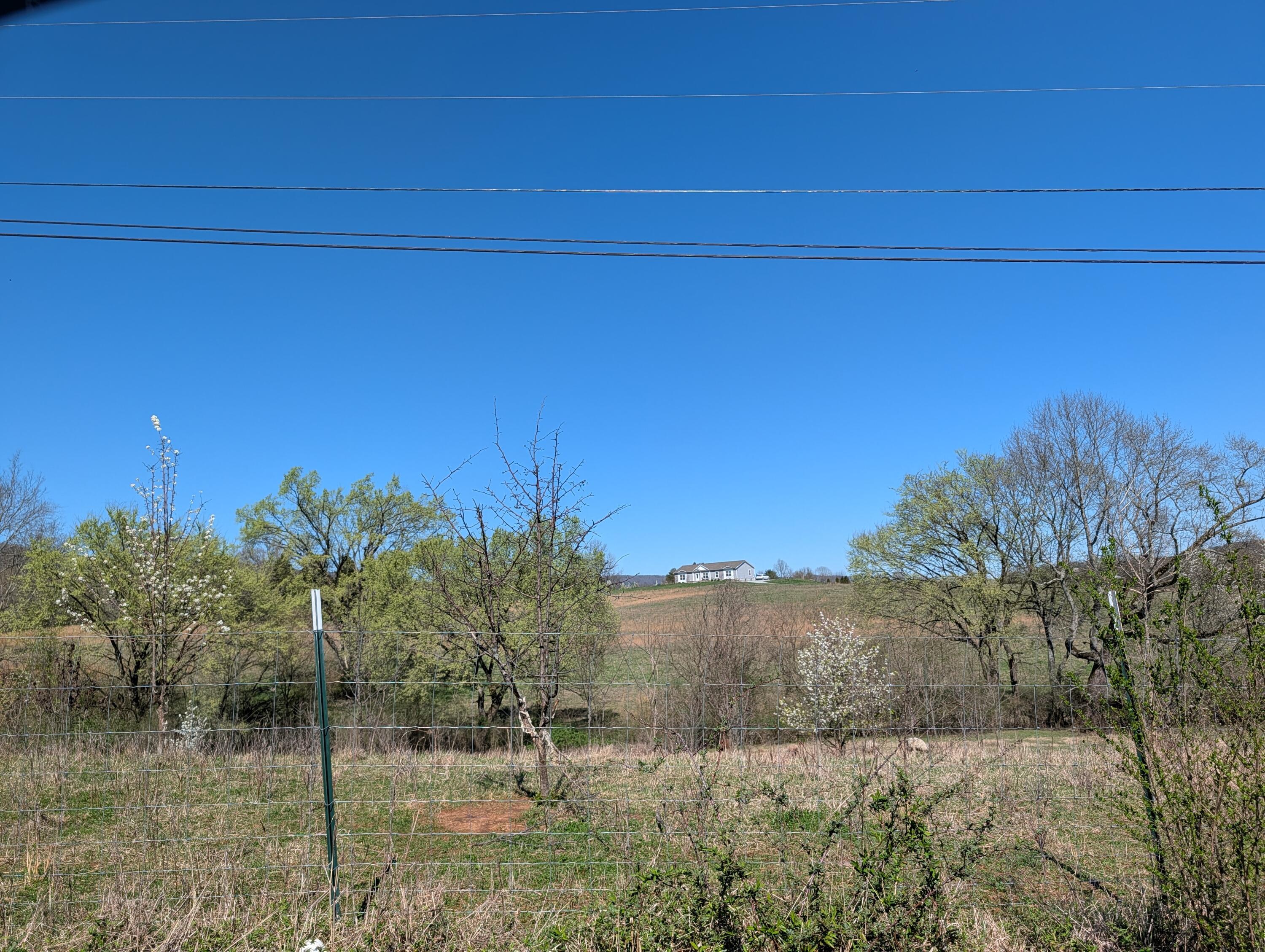 4637 Ideal Valley Road Spring City, TN 37381 - Photo 65 of 67 PXL_20260312_183826871