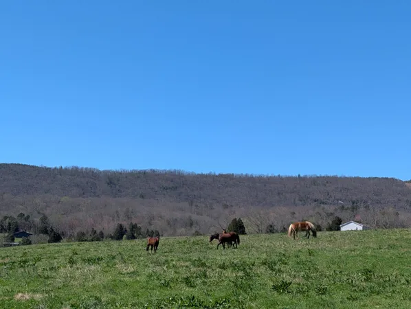 $995,000 | 4637 Ideal Valley Road, Spring City, TN 37381