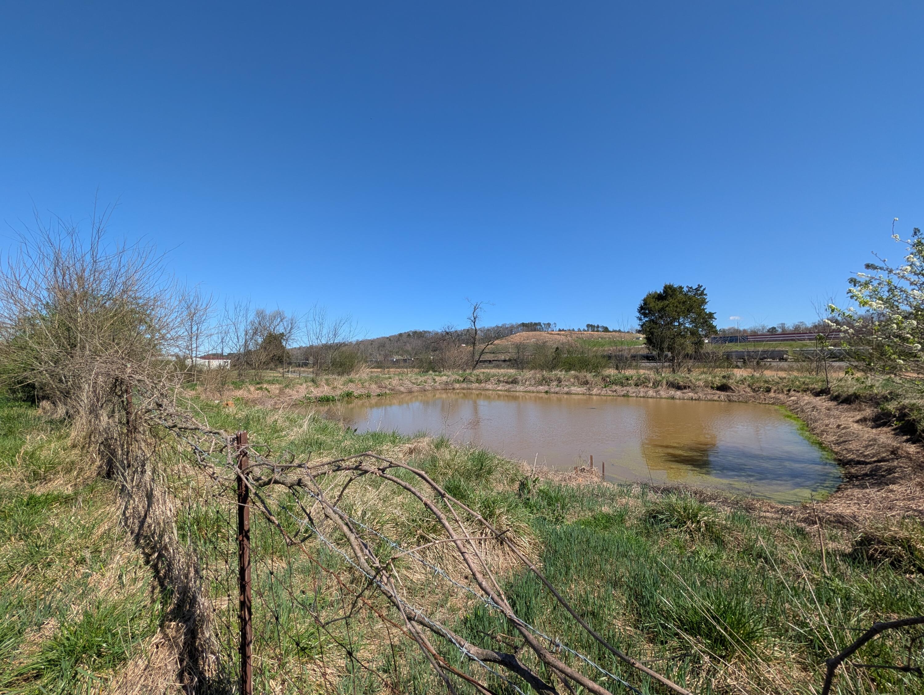 4637 Ideal Valley Road Spring City, TN 37381 - Photo 8 of 67 PXL_20260312_184352068