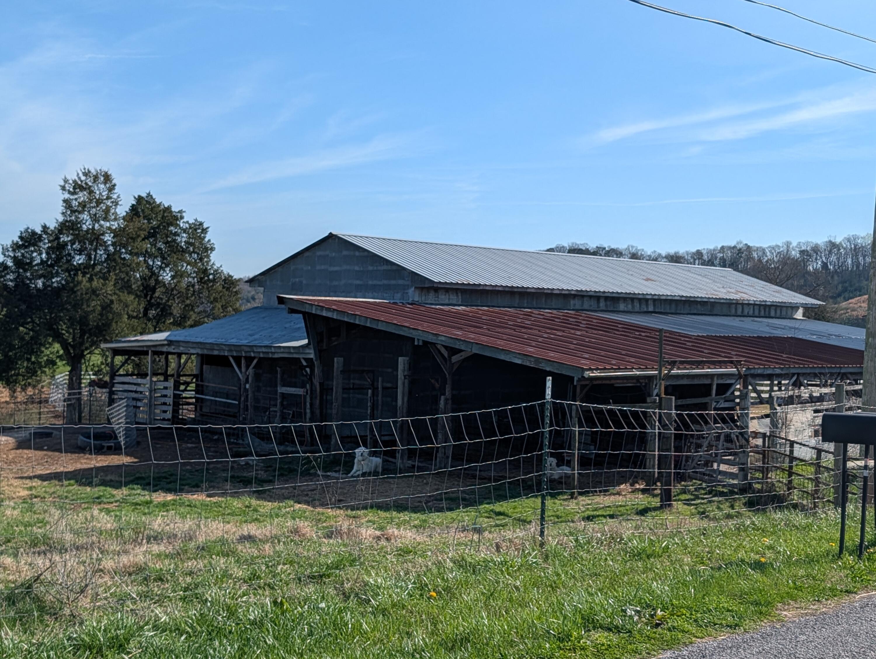 4637 Ideal Valley Road Spring City, TN 37381 - Photo 8 of 67 PXL_20260314_145656173