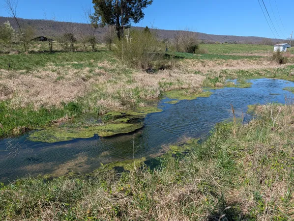 $995,000 | 4637 Ideal Valley Road, Spring City, TN 37381