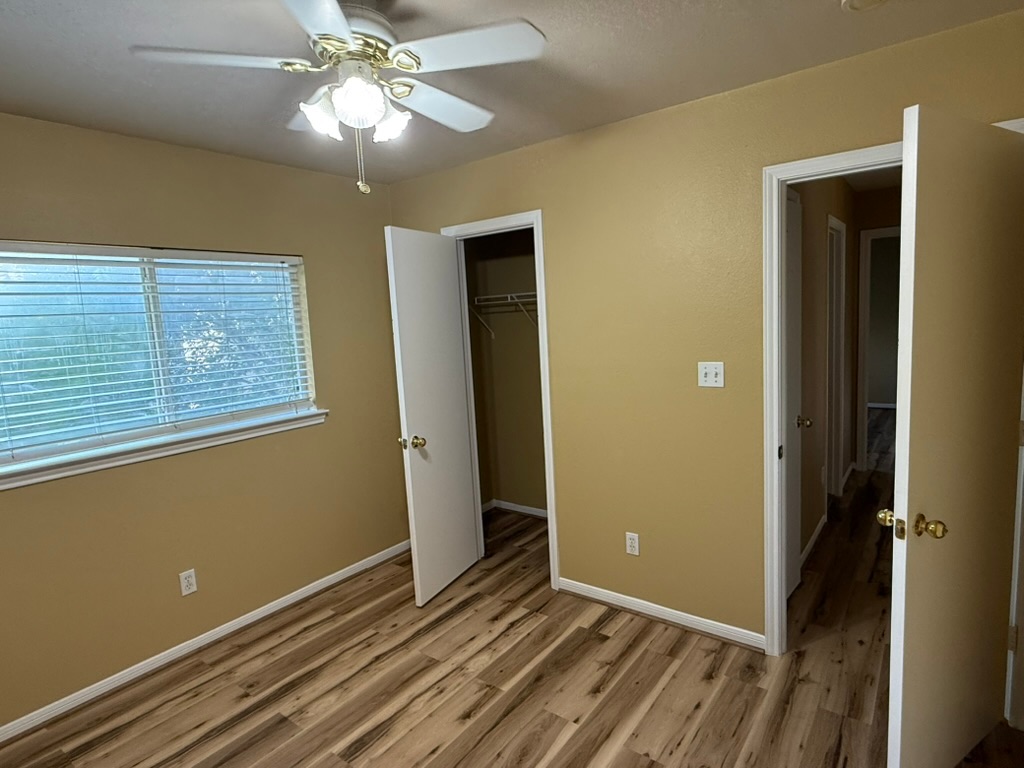 1707 Morningside Cove Round Rock, TX 78664 - Photo 22 of 31 an empty room with closet and a chandelier fan