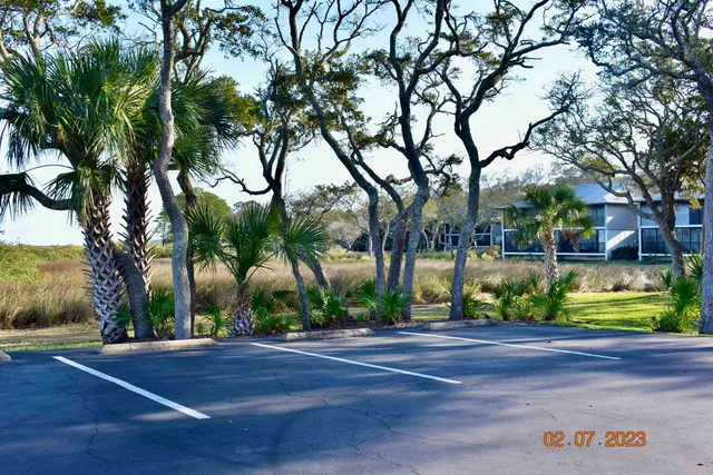 a view of a lake from a yard