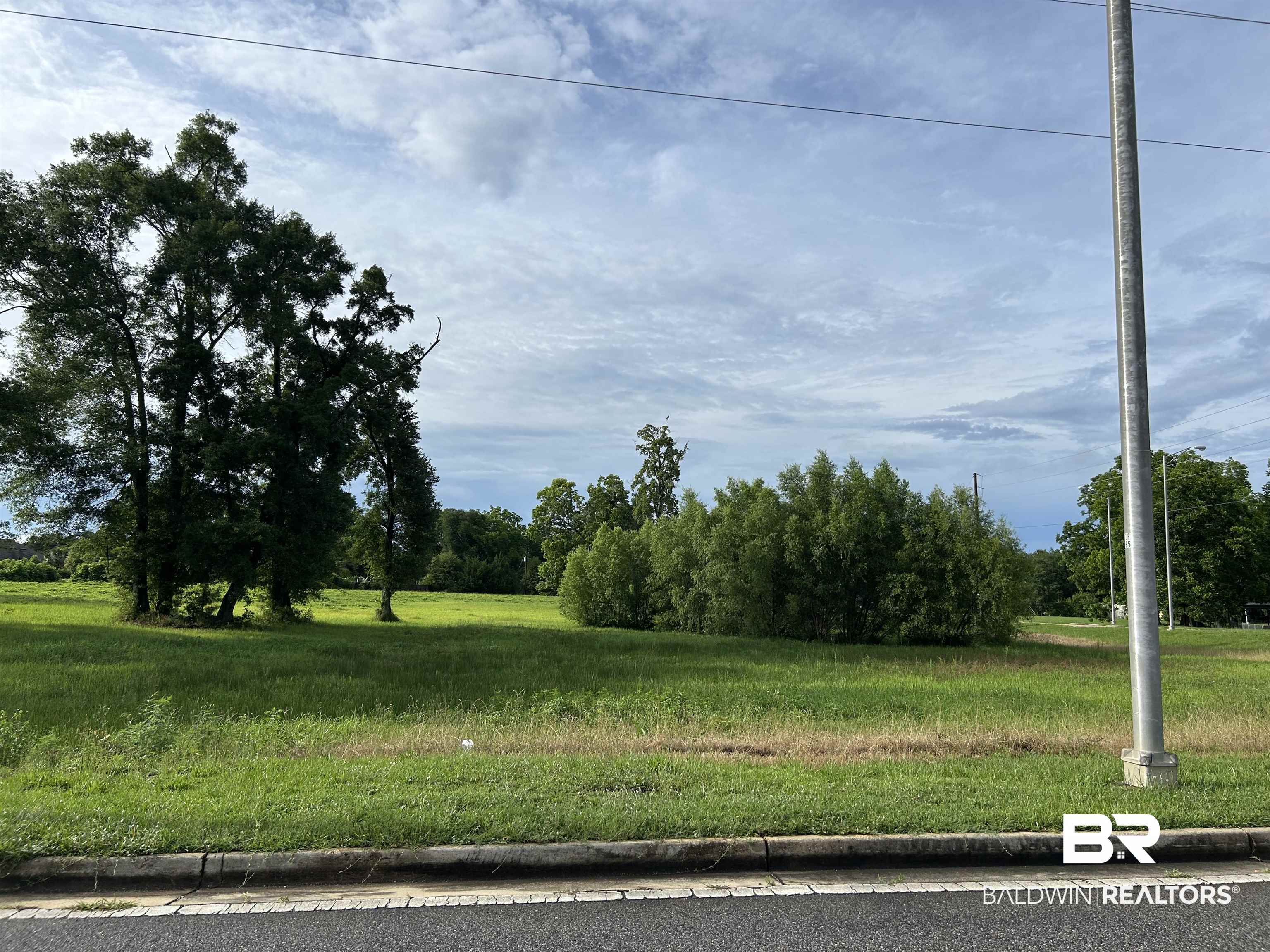 0 Grelot Road Mobile, AL 36695 - Photo 4 of 4