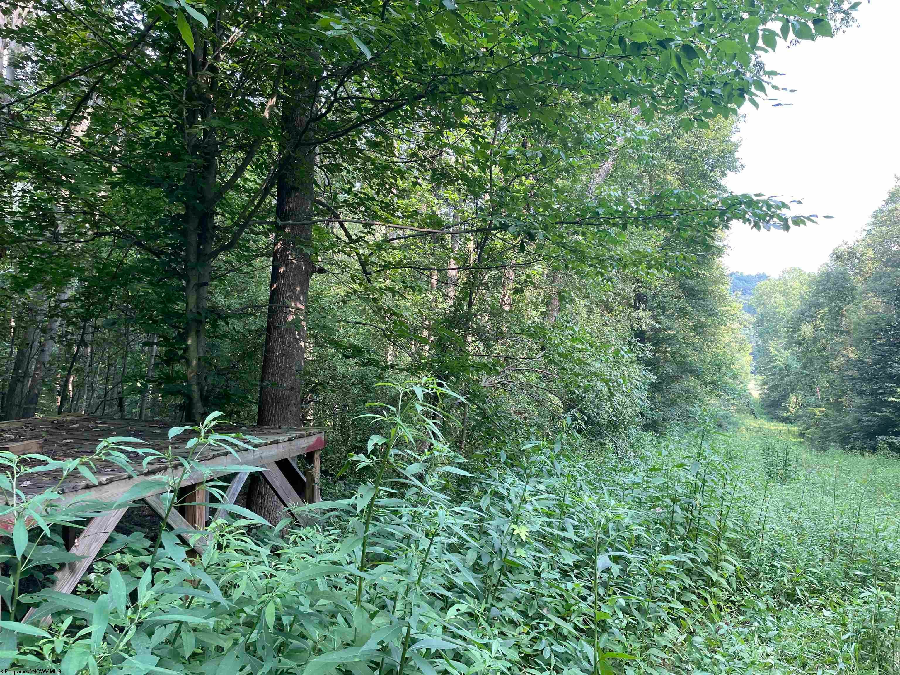 Tbd Mount Clare Road Mount Clare, WV 26408 - Photo 32 of 45 Gallery Image 32
