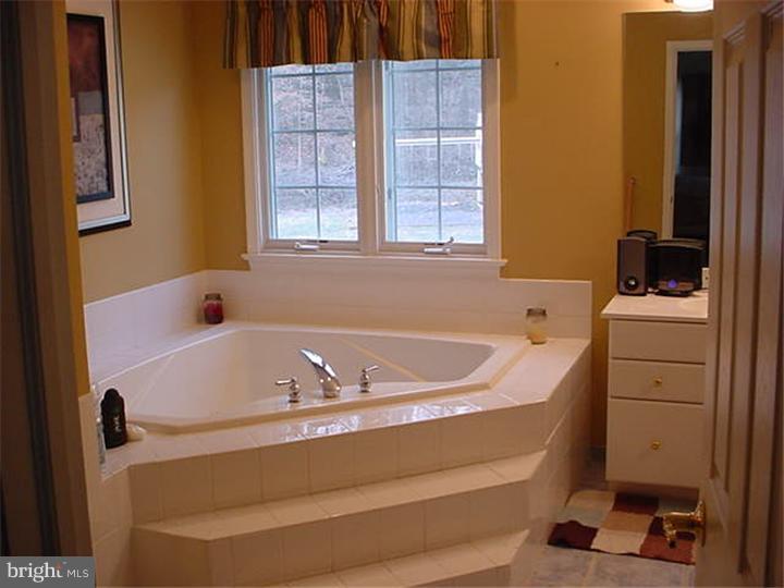 2316 Conestoga Road Chester Springs, PA 19425 - Photo 13 of 22 Bathroom