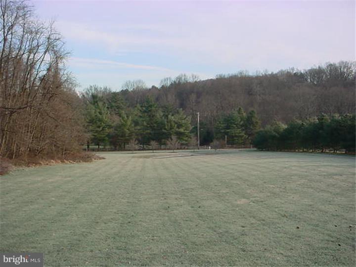 2316 Conestoga Road Chester Springs, PA 19425 - Photo 6 of 22 View from Front Door